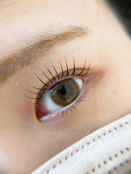 リノ(Lino)/パリジェンヌ★