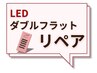 【LEDリペア】ダブルフラット50束　￥4950