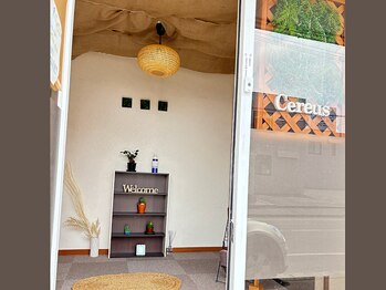 セレウス(Cereus)/2．【入り口】