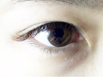 レミア 関内(REMIA)/５月　ワインレッド