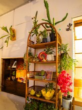 こりほぐし 図書館前/夏の模様替えが完成しました