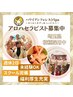 【求人クーポン/セラピスト志望限定！】ロミロミアロマボディ/60分/¥4,900
