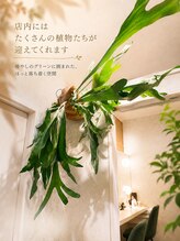 リンガ(Ringa)/緑に包まれる癒し空間