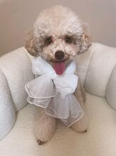 パピーネイル 北千住店(PUPPY NAIL) PUPU 