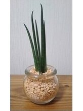 トトノエ ファン(Fa-N)/小さな癒し♪