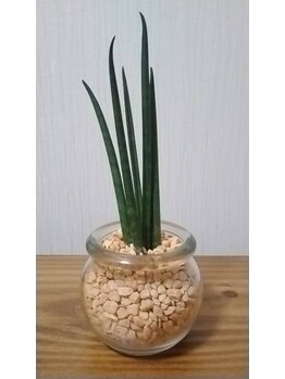 トトノエ ファン(Fa-N)/小さな癒し♪