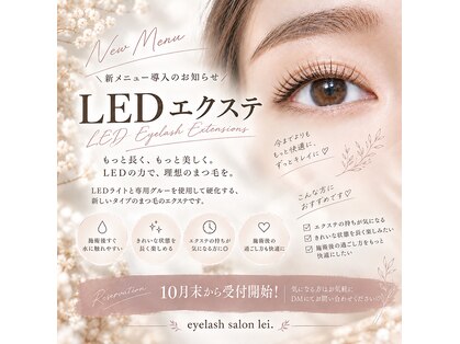 レイ(lei.)の写真