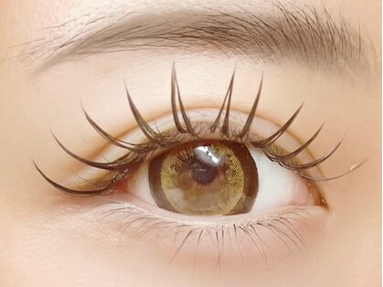 アクシア(Axia)の写真