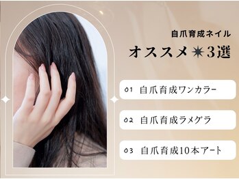 自爪育成オススメデザイン3選