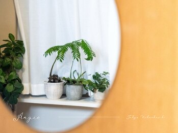 アンジー(Angie)/観葉植物を置いています