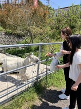 ローズクォーツ(Rose Quartz)&nbsp;貝原 明恵