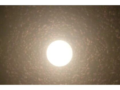 ルフロ 鎌倉店(LeFuro)の写真