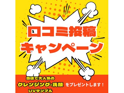 キューティ(Cutie)の写真