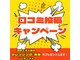 キューティ(Cutie)の写真