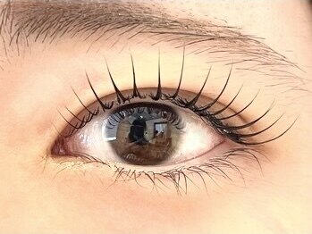 ムク 金沢八景(muk.)/ラッシュリフト &nbsp;[まつげパーマ]