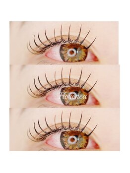 フロレネア(Florenea)/フラットラッシュ