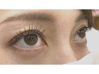 ルシア 難波店(Lucia)/フラットラッシュ120本