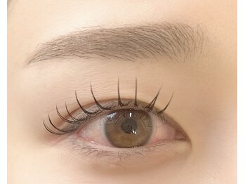 カーララッシュ(Cara Lash)/フラットラッシュ120本　束感