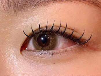 ラヴィリス(RAVILISS)/最高級セーブルエクステ