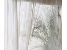 オーロラ ナチュラル スタジオ(AURORA. natural studio)の雰囲気（1月からリニューアルしました♪）