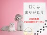 【口コミ入れたよクーポン♪】2026円割引*再来・都度来店の方用*