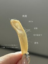 ラシサ(LASHISA)/フェイスワックス(パーツ)