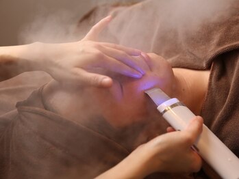 サロン リーナ 北千住店(Salon Lena)/毛穴の黒ずみ角栓徹底除去