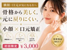 整音(totonone)