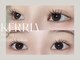 ケリア(Kerria)の写真