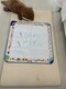 エン(En.)の写真/お子様と一緒にご来店OK!「子どもがいるからサロンに行きづらい...」そんなママのお悩みも解消♪