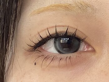 マギバイバディ 宇都宮店(magi by BUDDY)/フラットラッシュ