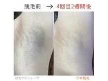 レーヴ