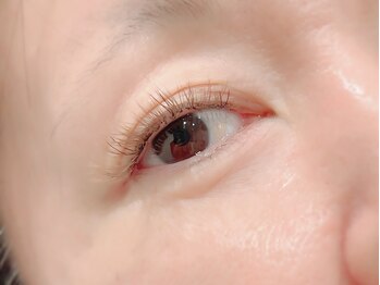 アイネイル ナッツ(Nuts)/カラーエクステ/ボリューム