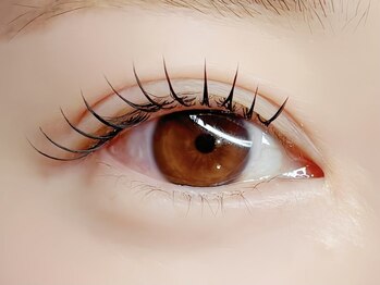 クウネル(Qoonel)/フラットラッシュ（マツエク）