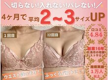 バストサロン メルベイユ(Merveile)