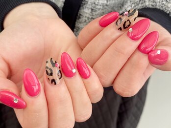 定額シンプルコース