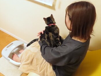 リクらむ/看板猫ラムとのふれあいタイム２