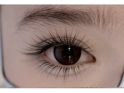 シト(Shito)の写真