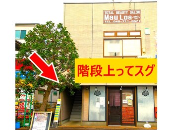 マウロア(MauLoa)/外観