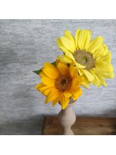 十季月(トキツキ)/花のように目元に色を添える