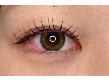 ドレス アイラッシュ(Dress eyelash)の写真