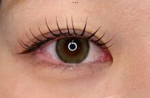 ドレス アイラッシュ(Dress eyelash)
