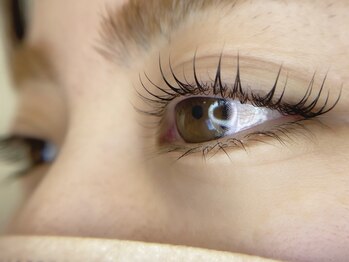 ロゼッタ(Rosetta)/ケラチンラッシュリフト