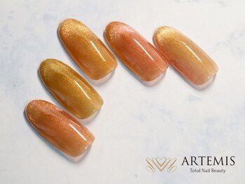 アルテミス(ARTEMIS)/シンプルB 