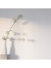 【ブラックティント】ラッシュリフト×アイブロウ（アイシャンプー）￥9800