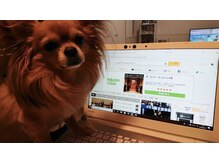 サロン ド 花歩 松山本店/看板犬の勘兵衛です