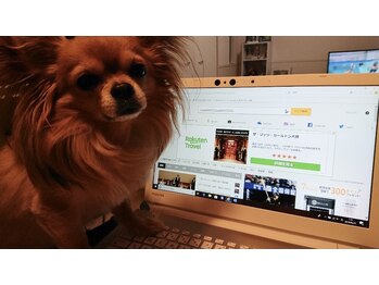 サロン ド 花歩 松山本店/看板犬の勘兵衛です