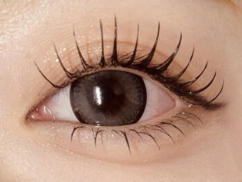 プラスエリマ 四日市(Plus Elima)/LEDエクステ 四日市