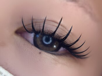 ラウ(Lau)/フラットラッシュ160本