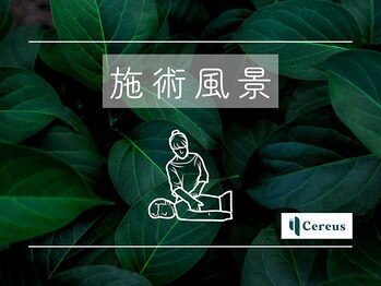 セレウス(Cereus)/●施術風景